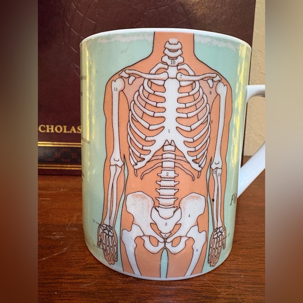 Vintage Anatomical Mug
